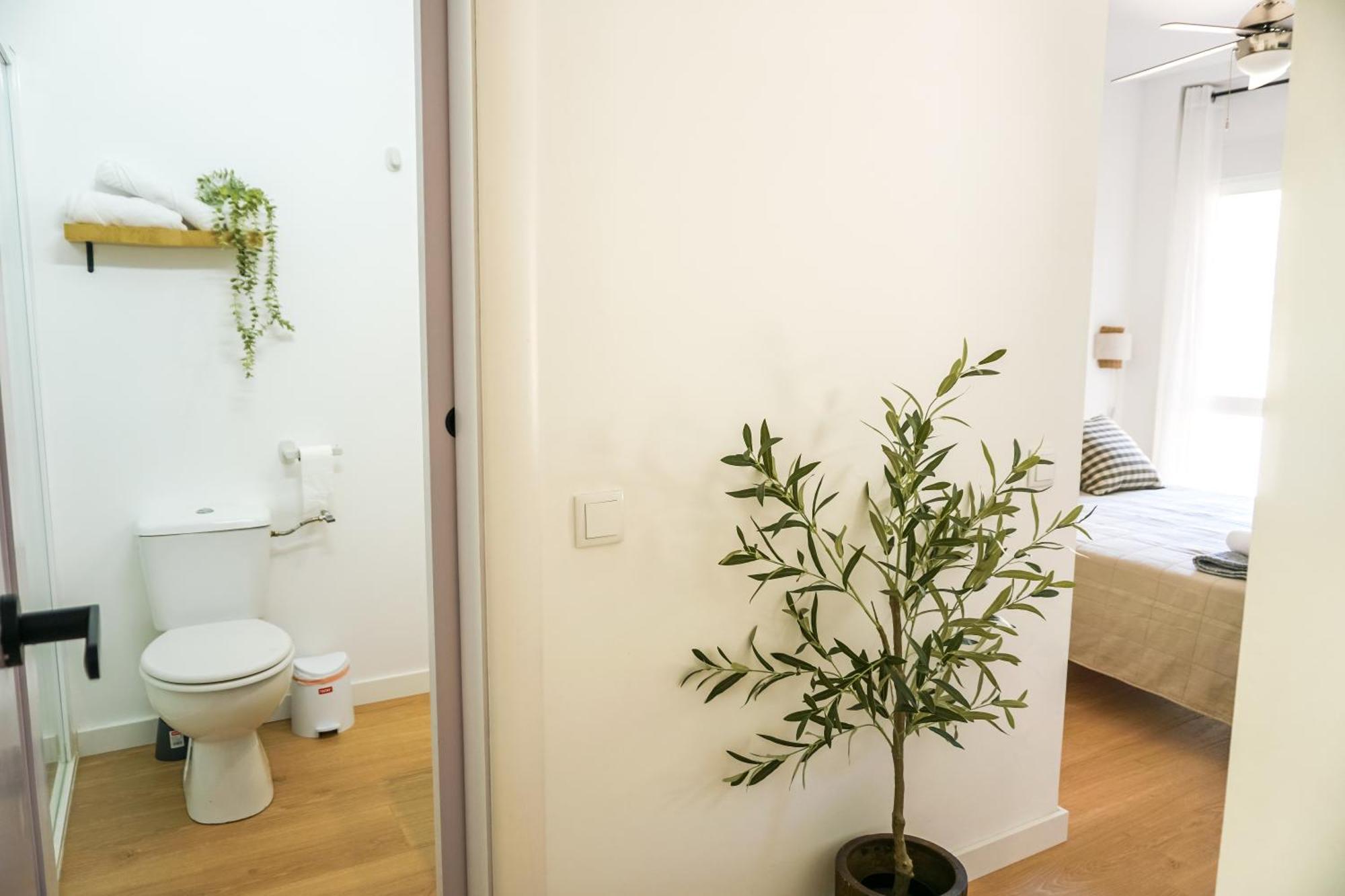 Apartamento El Olivo Alicante Eksteriør billede